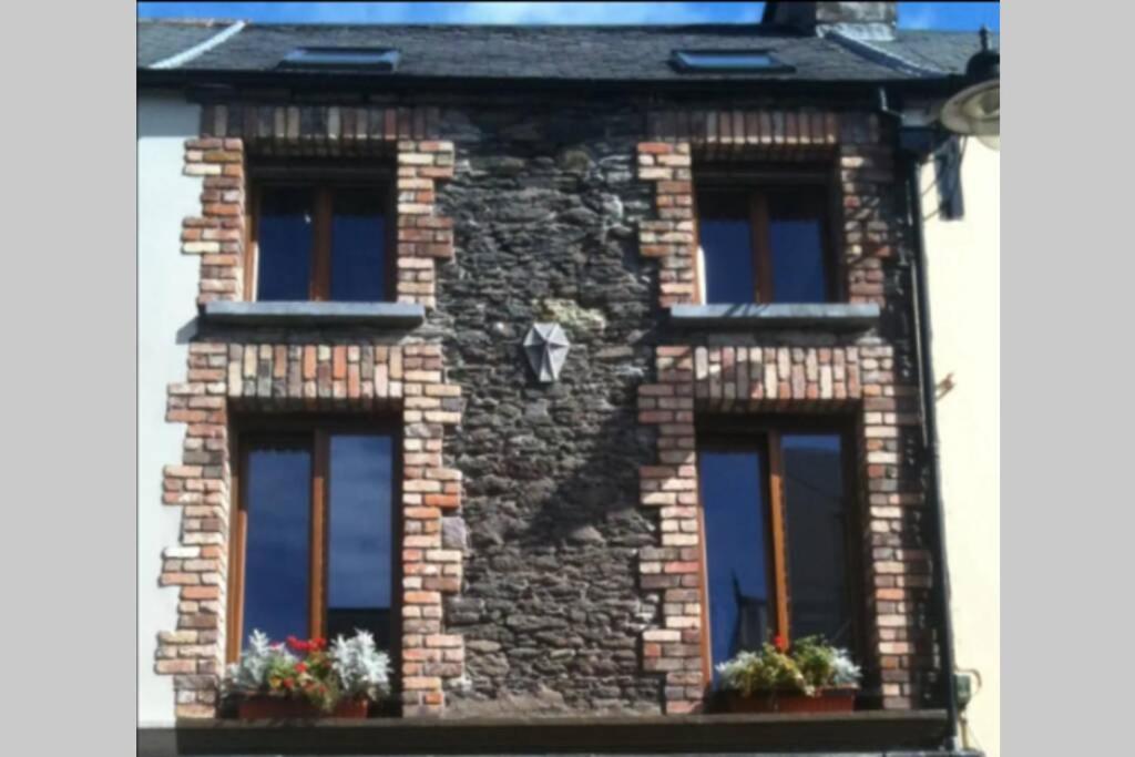 Centre Of Dingle Town - Luxury Holiday Apartment エクステリア 写真
