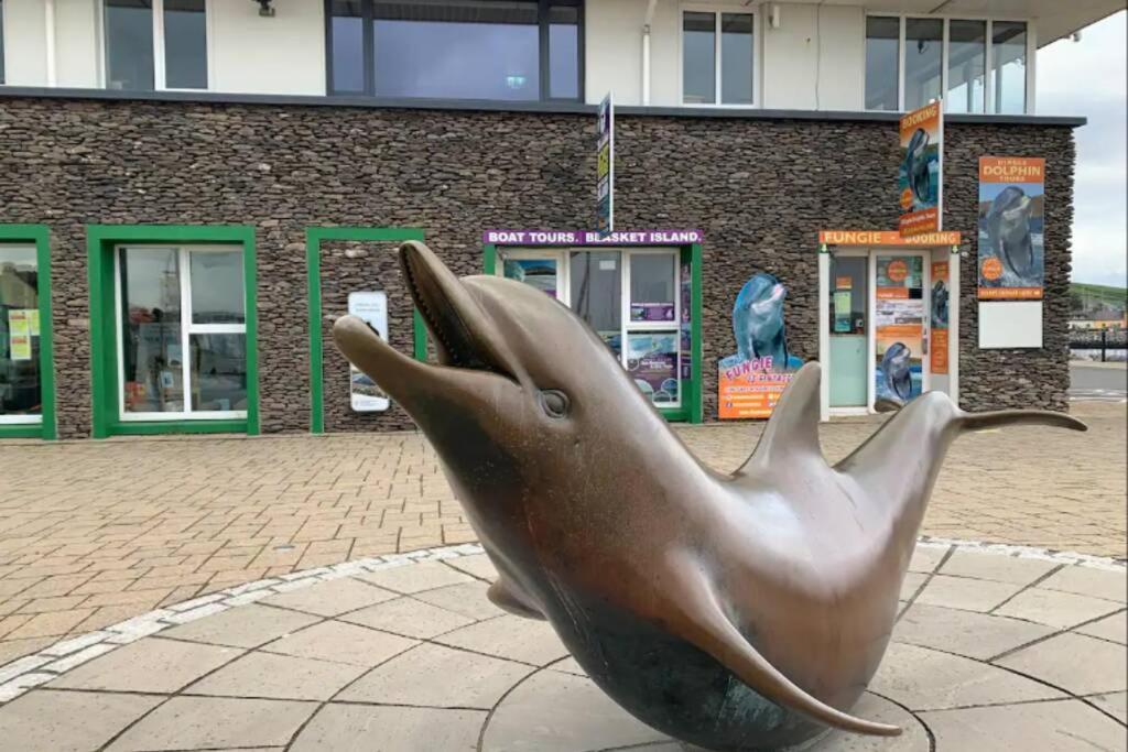 Centre Of Dingle Town - Luxury Holiday Apartment エクステリア 写真