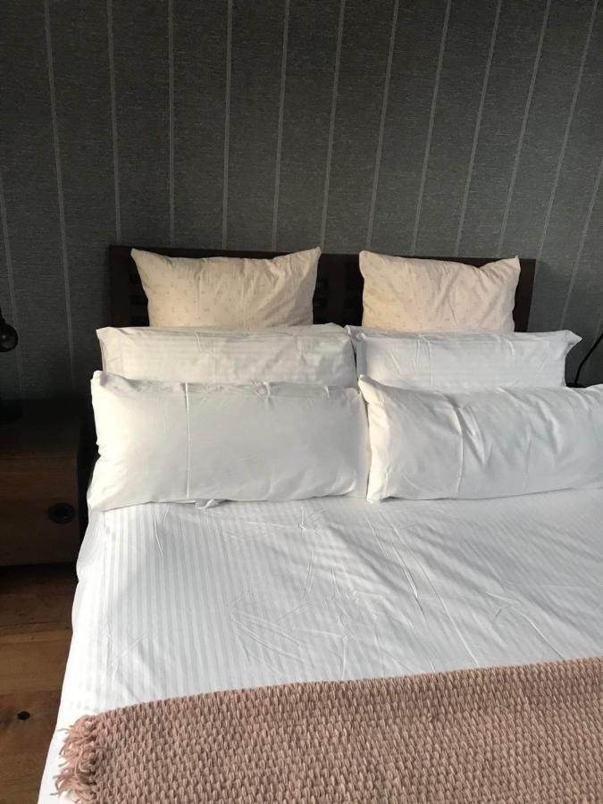 Centre Of Dingle Town - Luxury Holiday Apartment エクステリア 写真